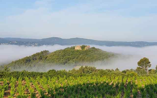 Domaine Pont Levoy Les Lauzes